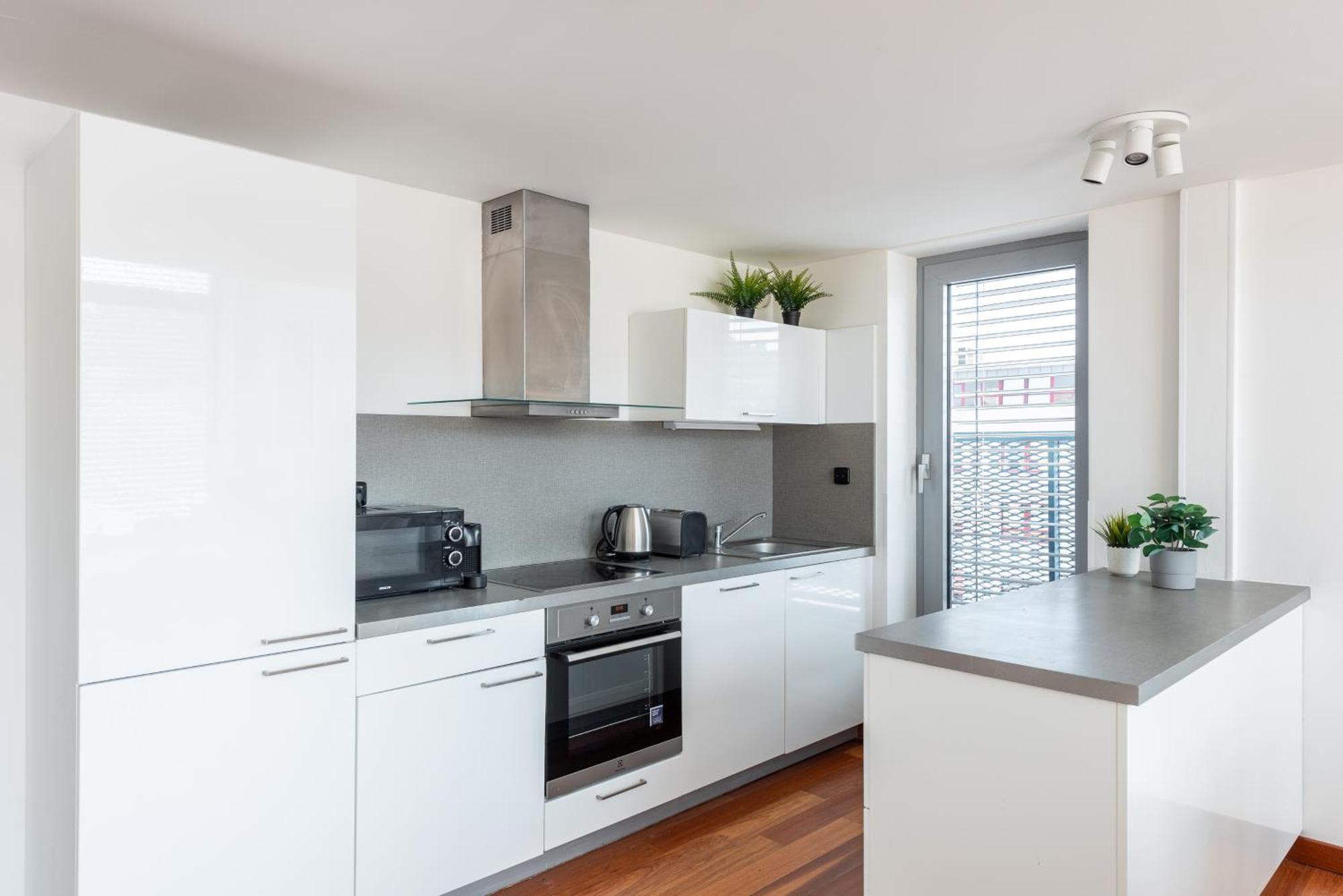 Premiumn Penthouse With Terrace In Praga
